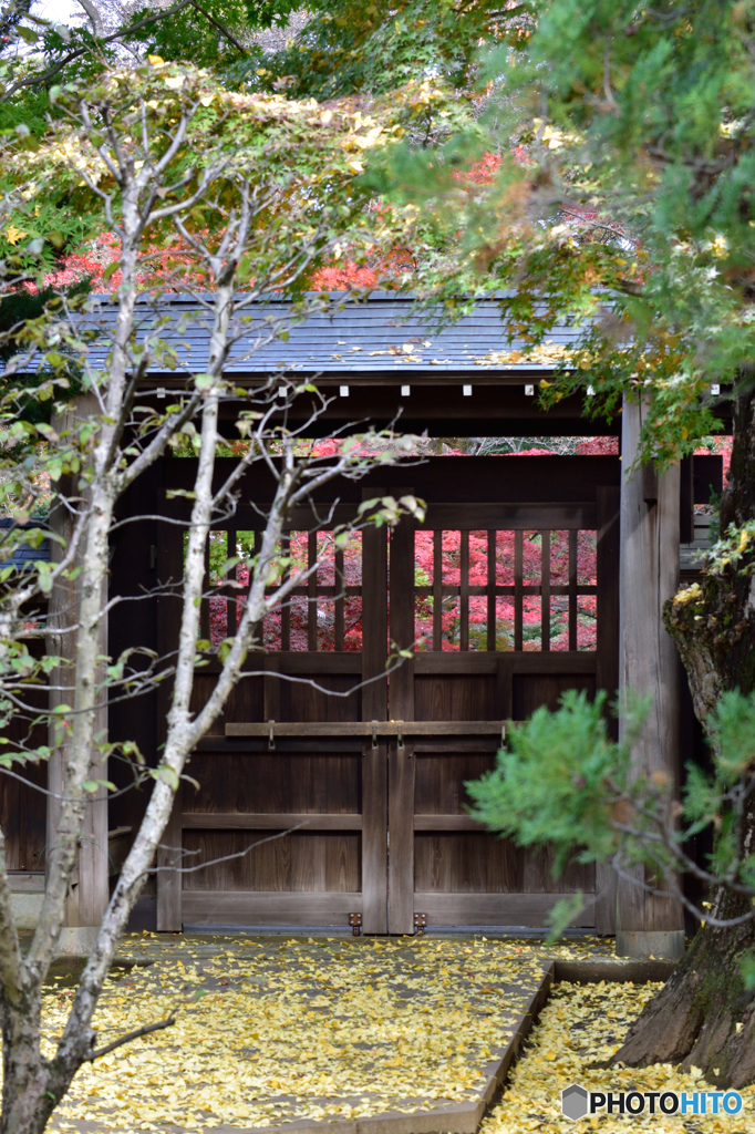 平林寺の木戸