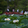 鎌倉の朝