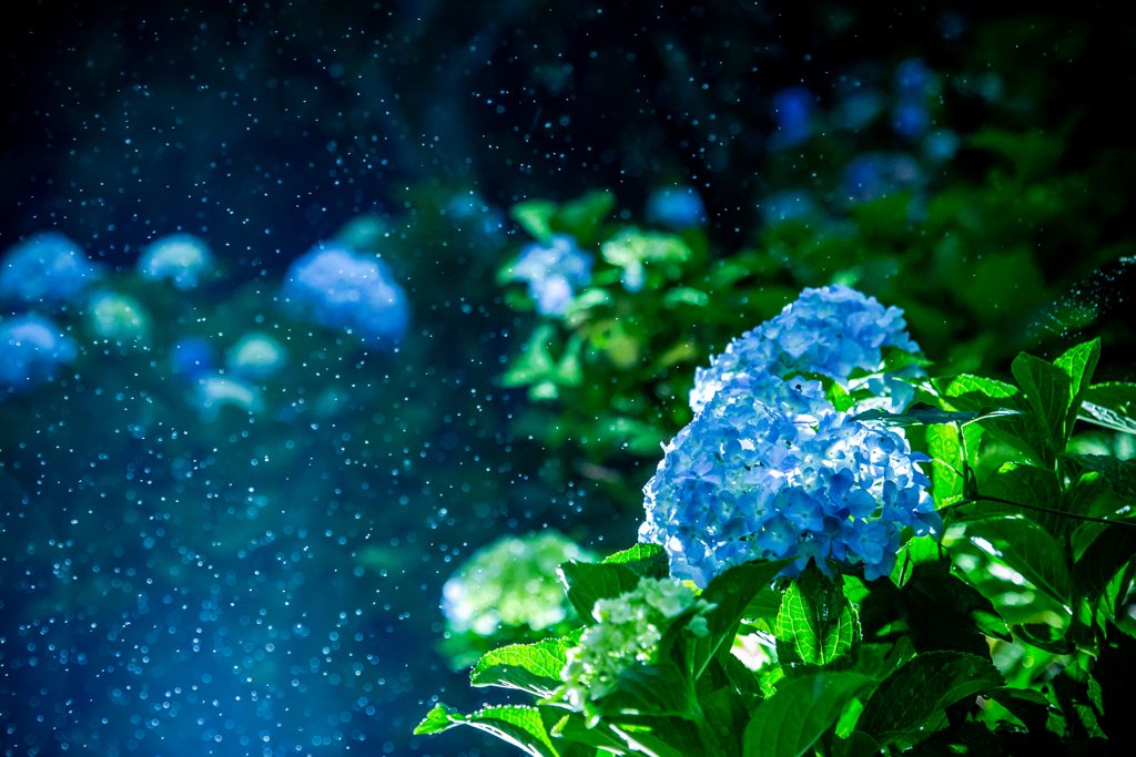 Rainy Blue Ⅱ