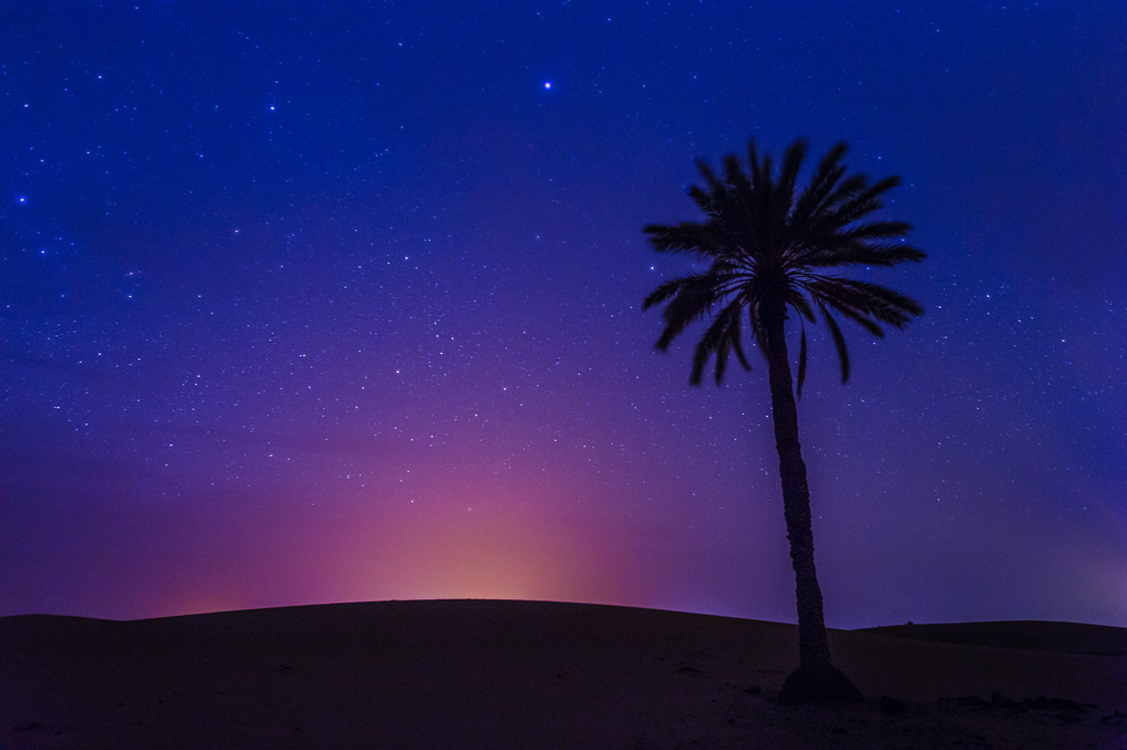 Sahara night