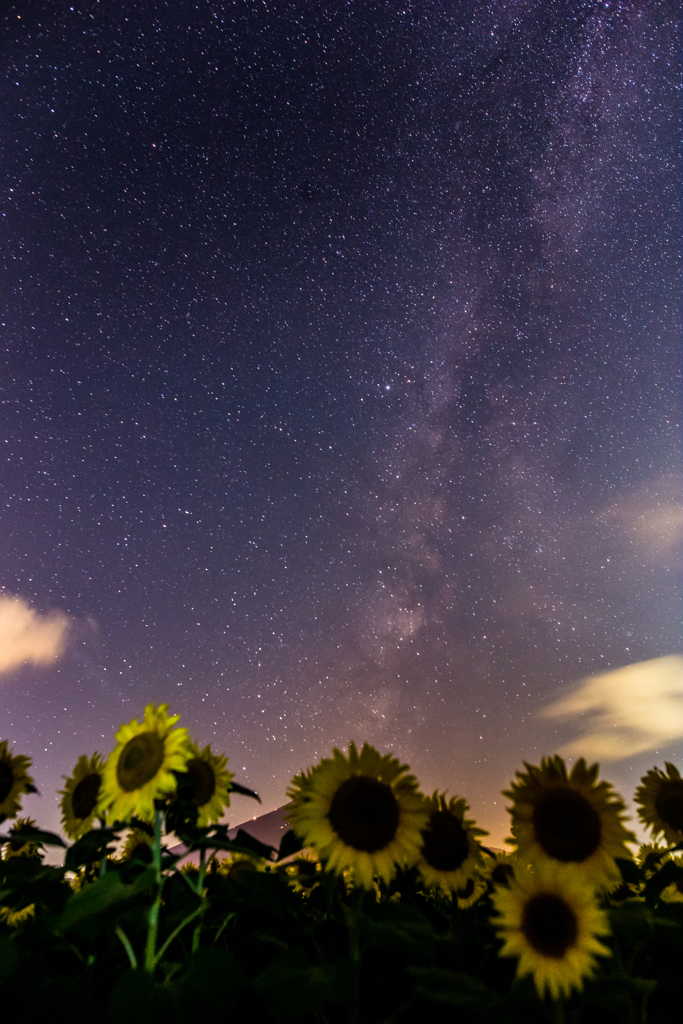 夏の夜空を眺めて