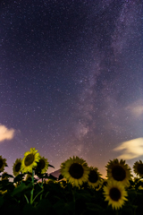 夏の夜空を眺めて