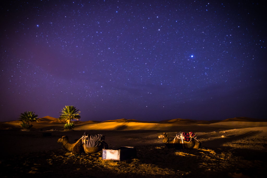 Sahara night Ⅱ