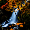 秋色に染まる滝