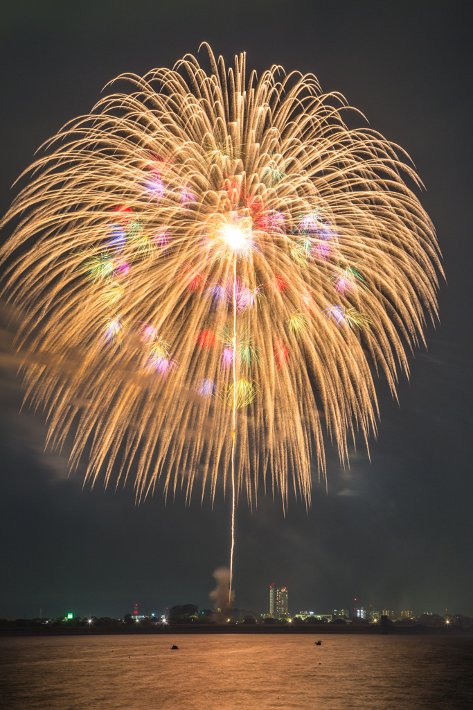 夜空に咲く大輪の花