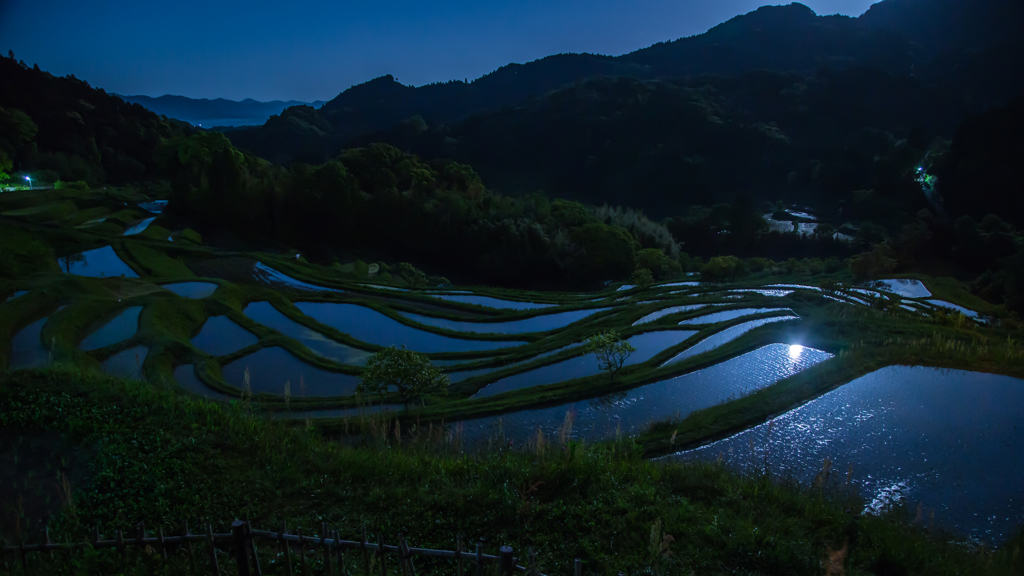 月夜の棚田