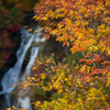 霧降と紅葉