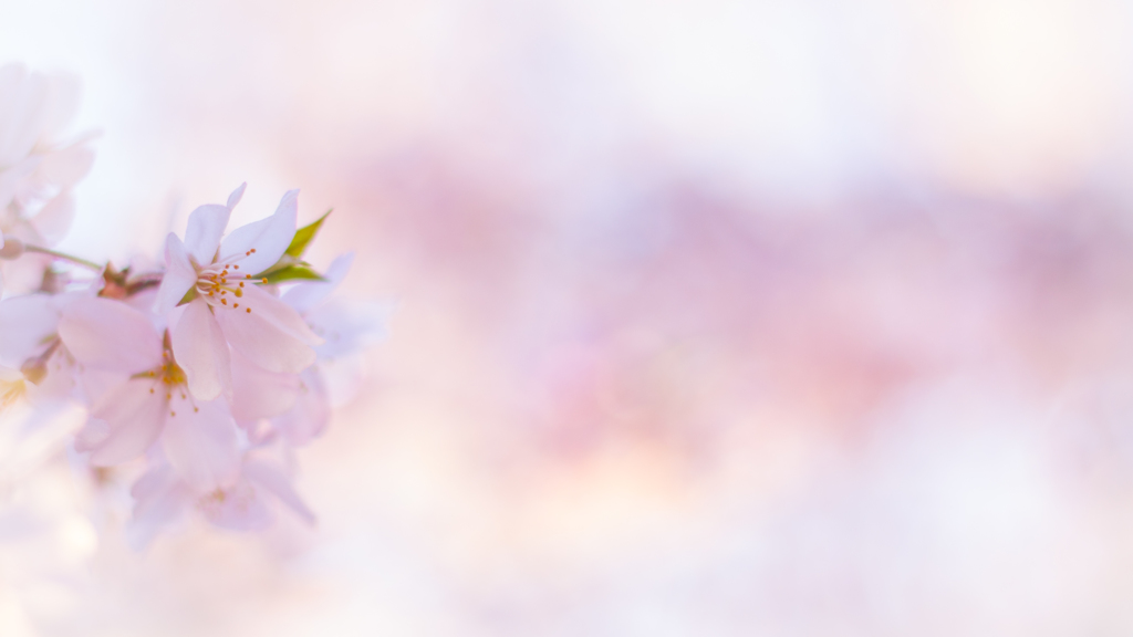 桜色