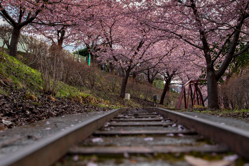 旅立ち