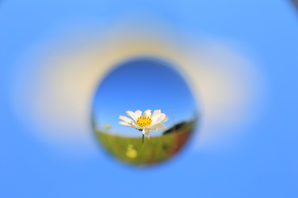 青玉