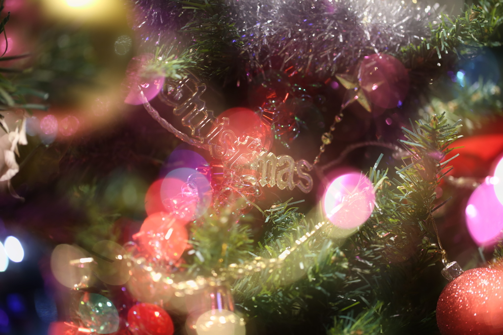 Merry Xmas