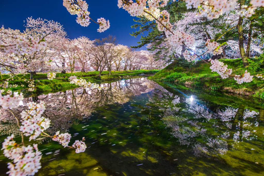 花影