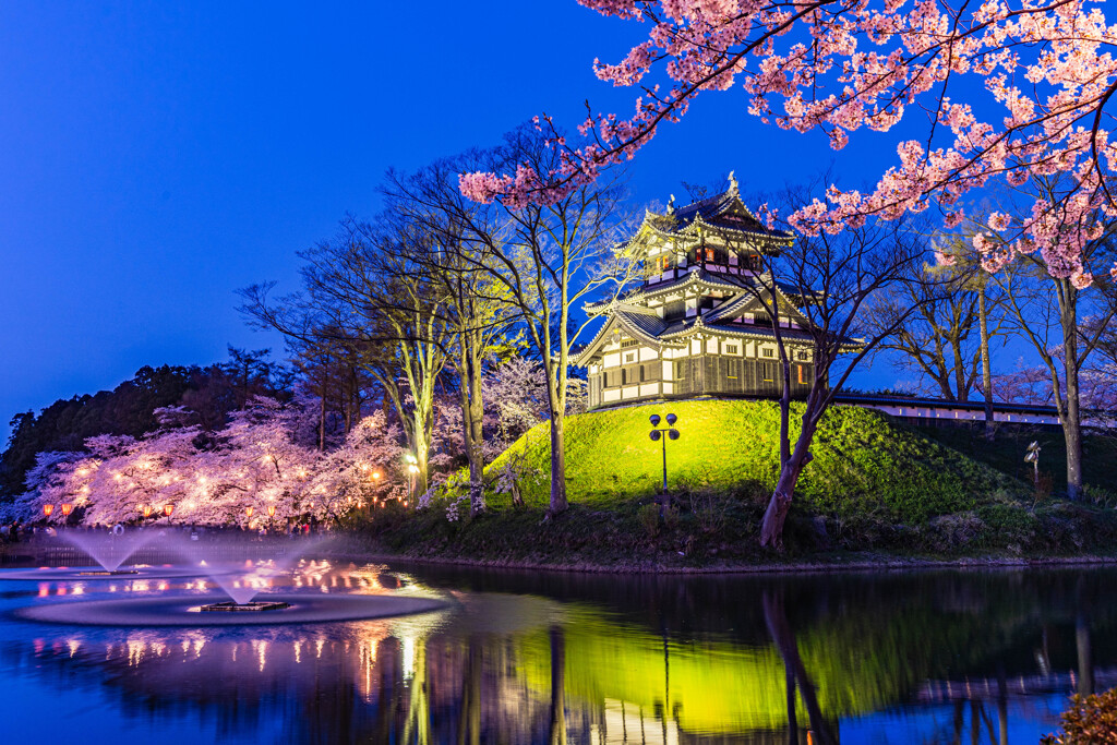 三大夜桜、高田城址公園