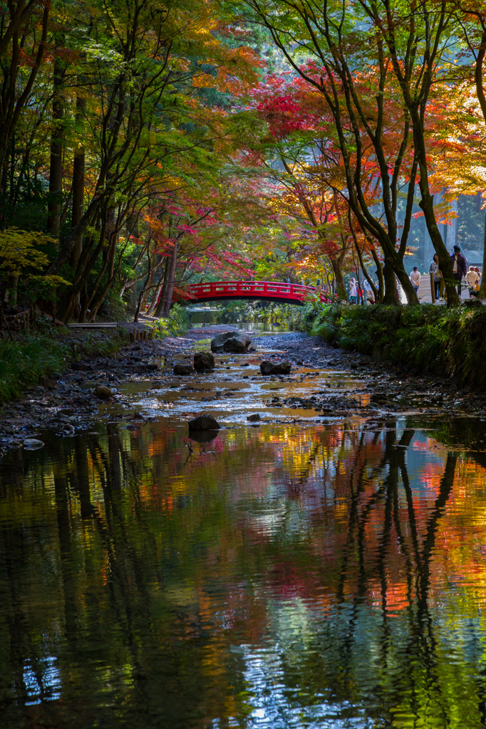 遠州の秋