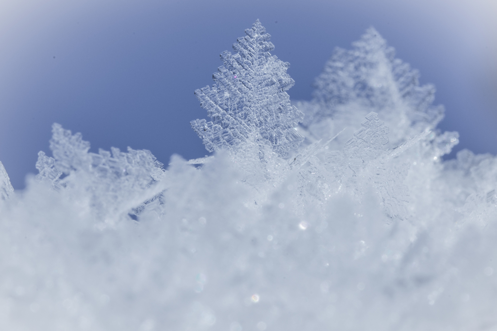 Ice sculpture