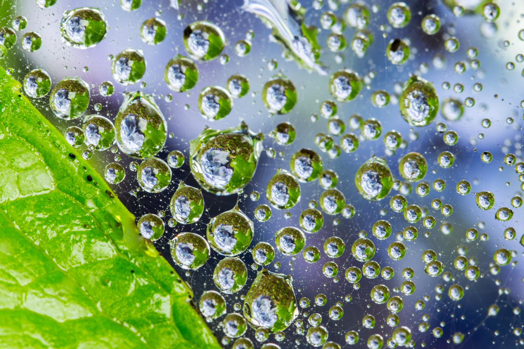 雨の日の贈り物