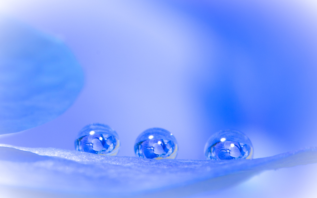 Blue drop　Ⅱ