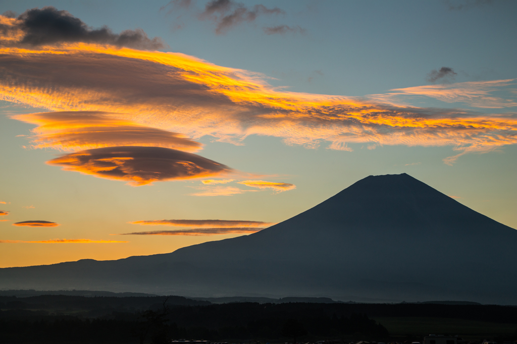 黄金色に輝いて