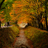 紅葉回廊