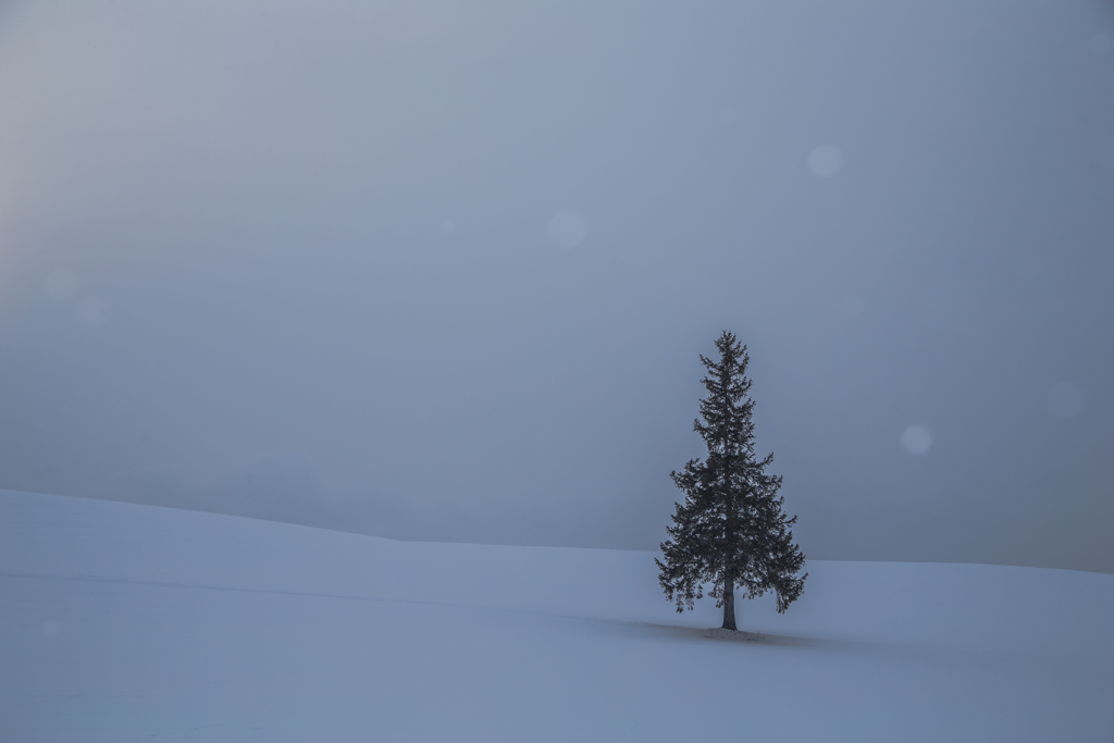 粉雪