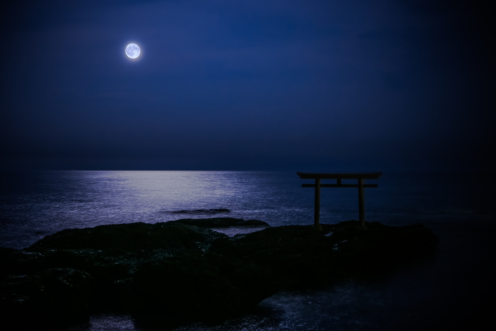 月下の鳥居 Ⅱ