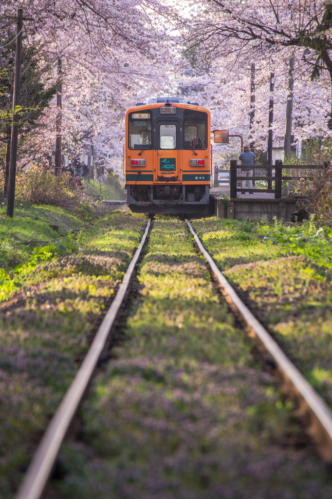 春を乗せて　津軽鉄道