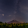 葉月の夜