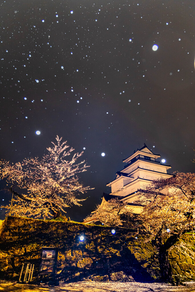 鶴ヶ城　春雪