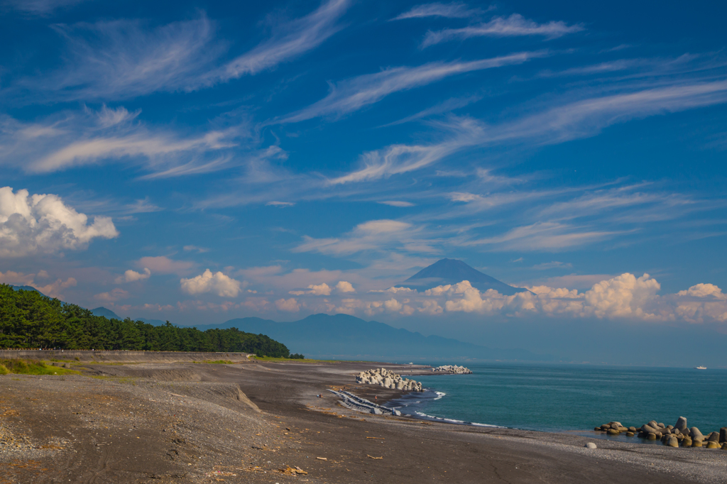 初秋　三保の松原