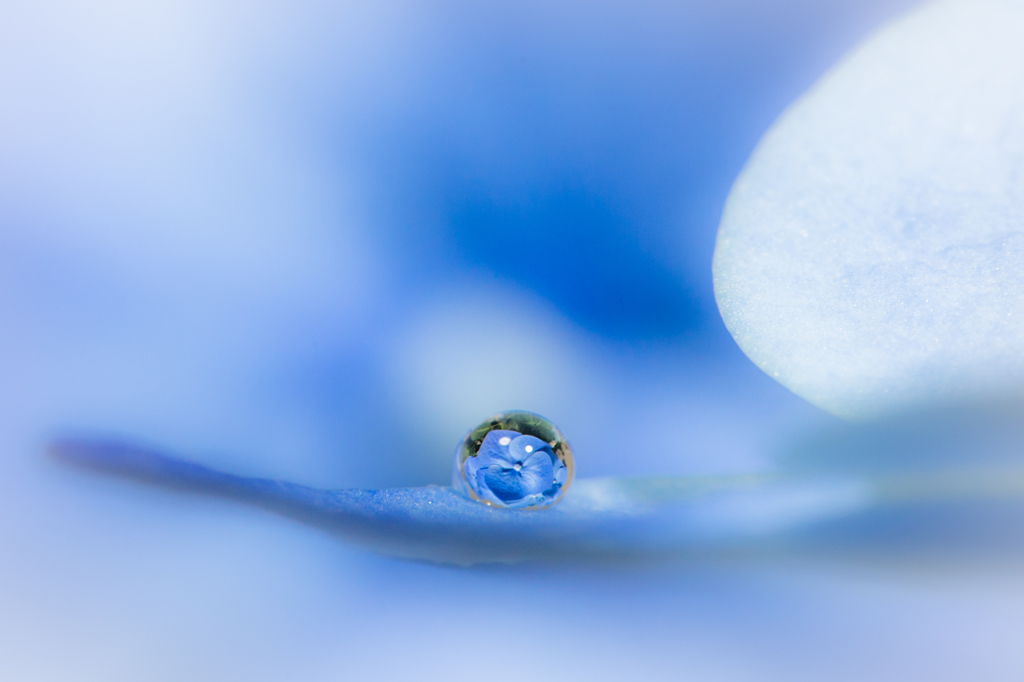 Blue drop