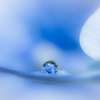 Blue drop