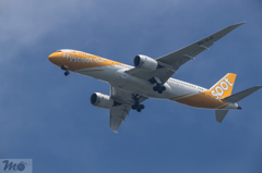787 flyscoot