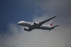 787 JAL