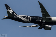 787 AIR NEW ZEALAND