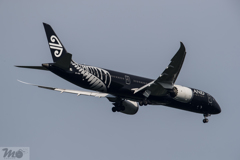 787 AIR NEW ZEALAND