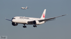 JAL×JAL