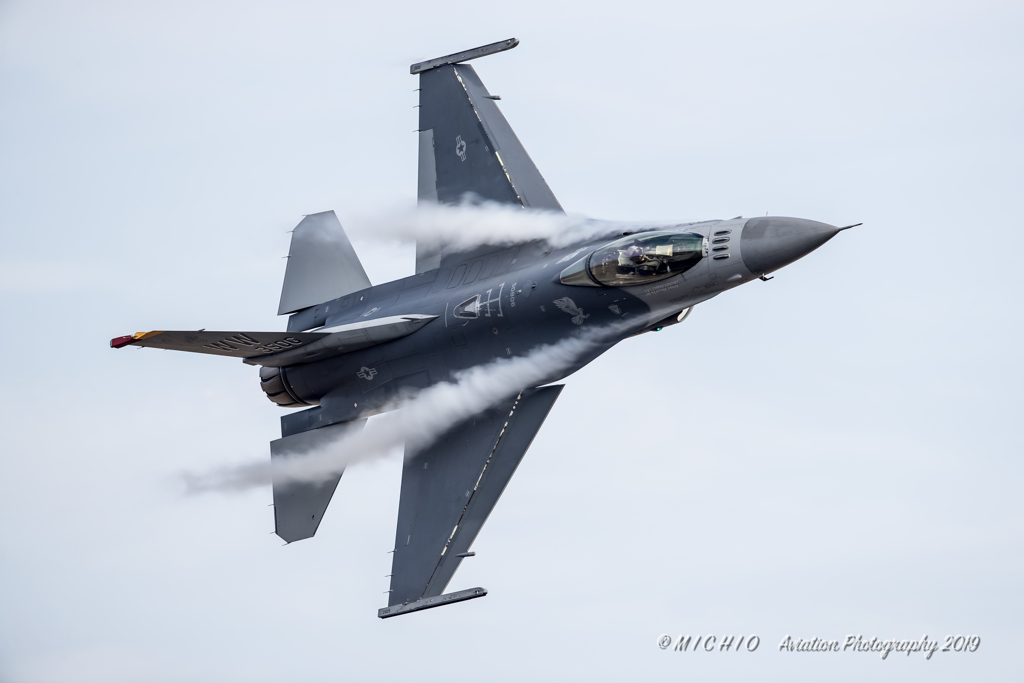 Wild Weasel ~41