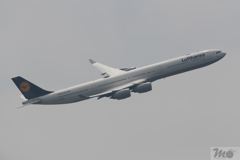 A340 Lufthansa