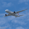 JAL 787