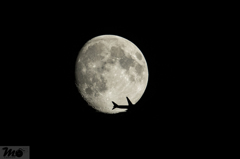 月夜の晩は