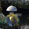 忍野八海の守り神