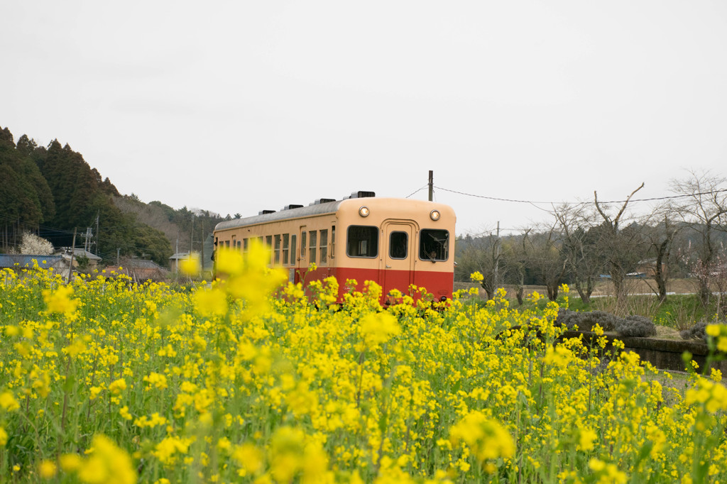 小湊鉄道