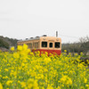 小湊鉄道