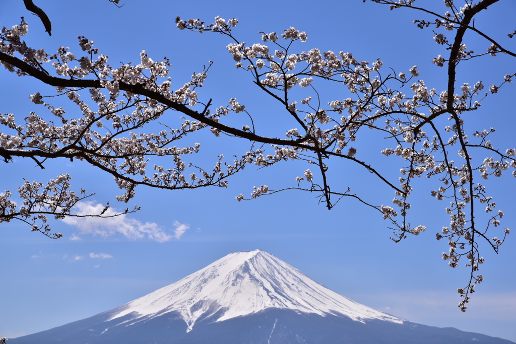 The日本!!