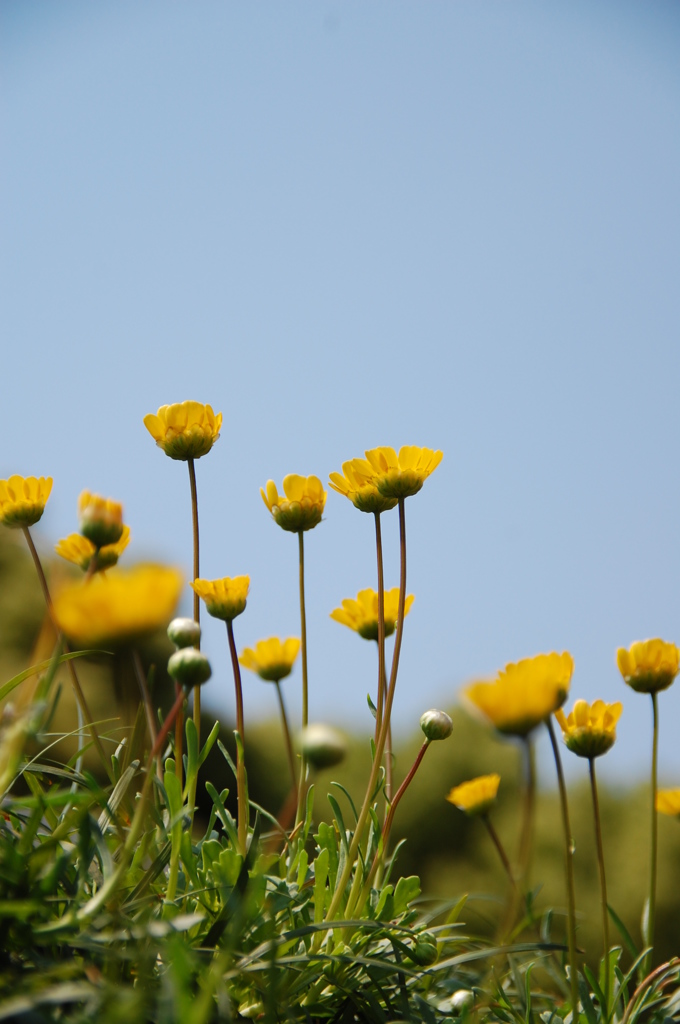 ポカポカの日。