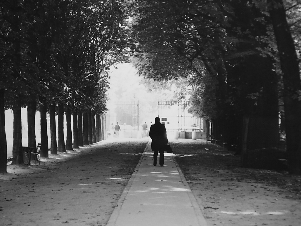 FRANCE1985