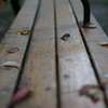 DSC02455