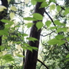DSC02438