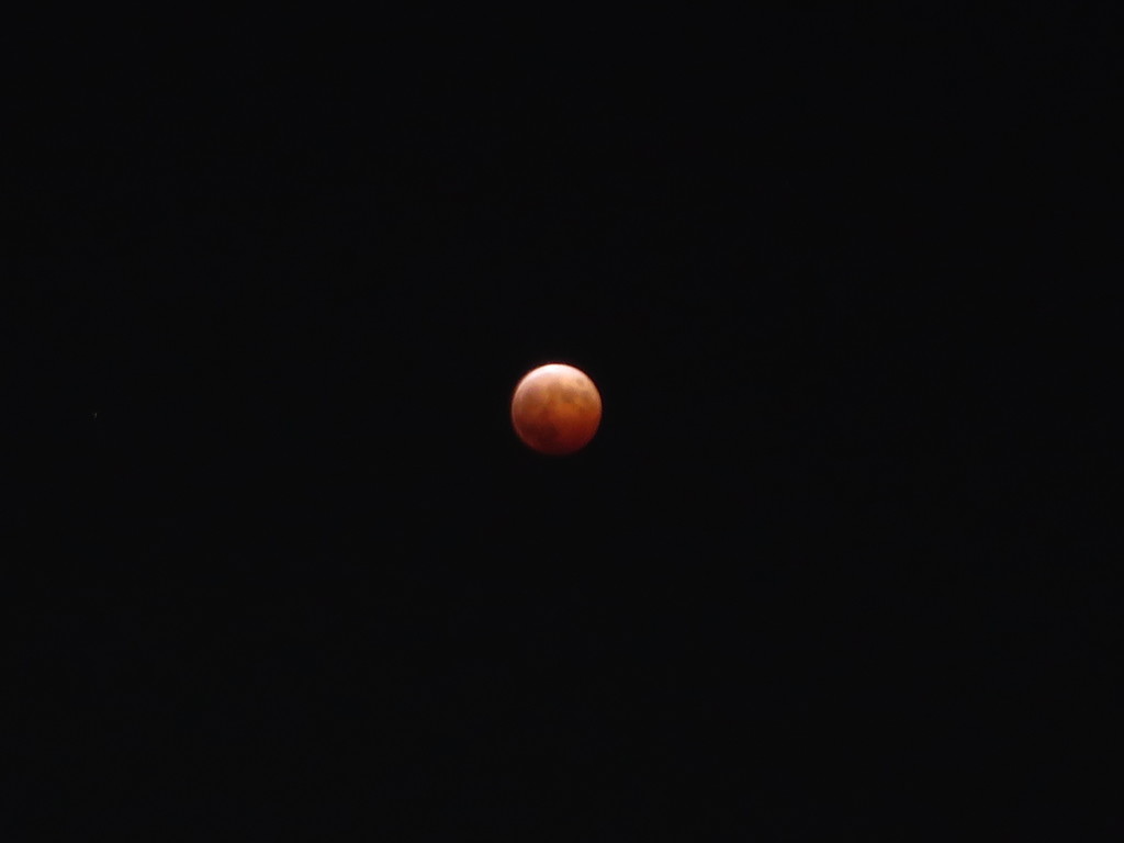 皆既月食(Oct.8.2014)