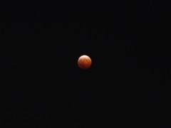 皆既月食(Oct.8.2014)